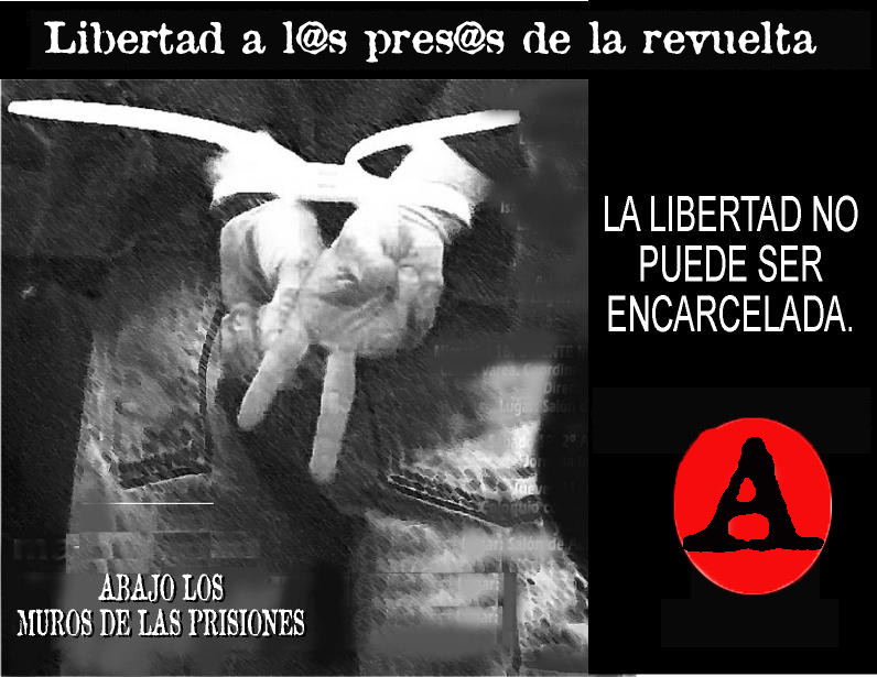 afichl copia